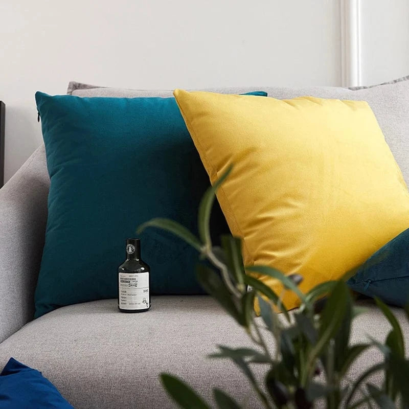 housse de coussin en velours