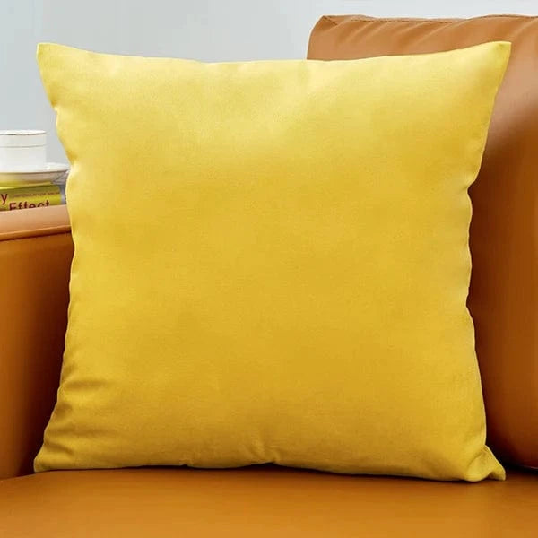 No.10 / 40x40cm housse de coussin en velours