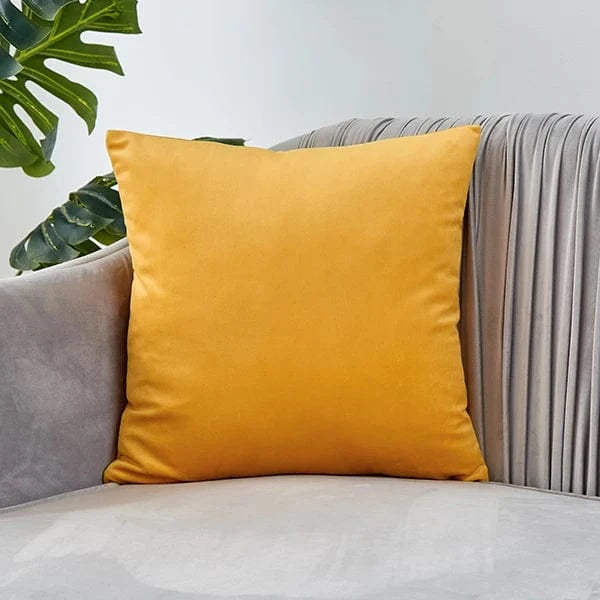 No.19 / 40x40cm housse de coussin en velours