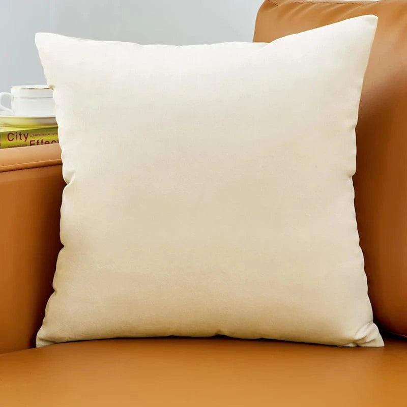 No.6 / 40x40cm housse de coussin en velours