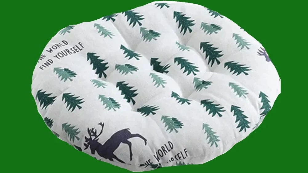 10 coussin pour chaises