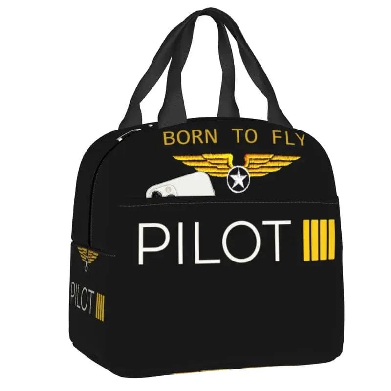 13 lunch box avionique