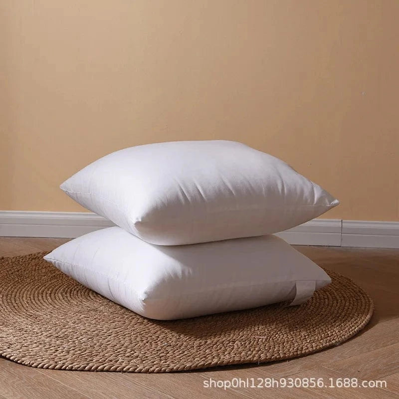 1PC / 30X50CM oreillers