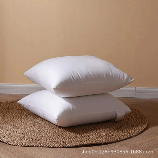 1PC / 30X50CM oreillers