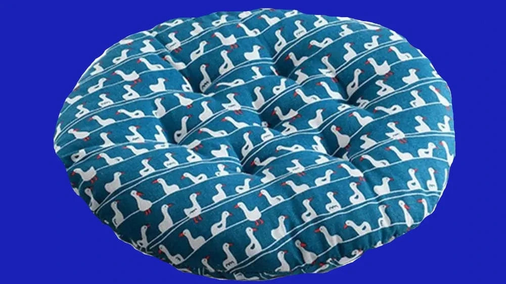 4 coussin pour chaises