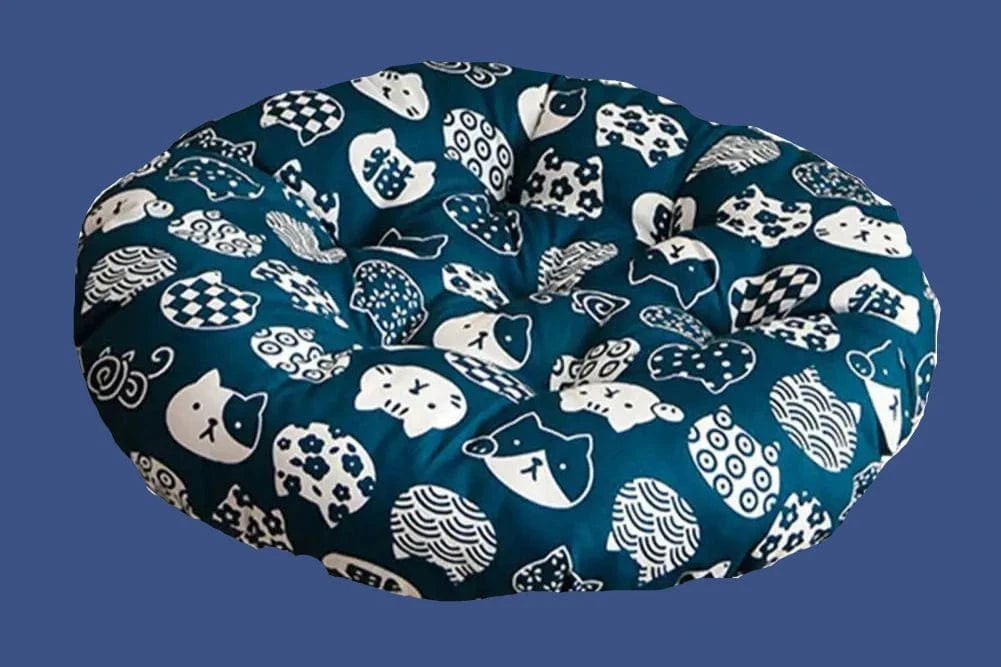 5 coussins de chaise