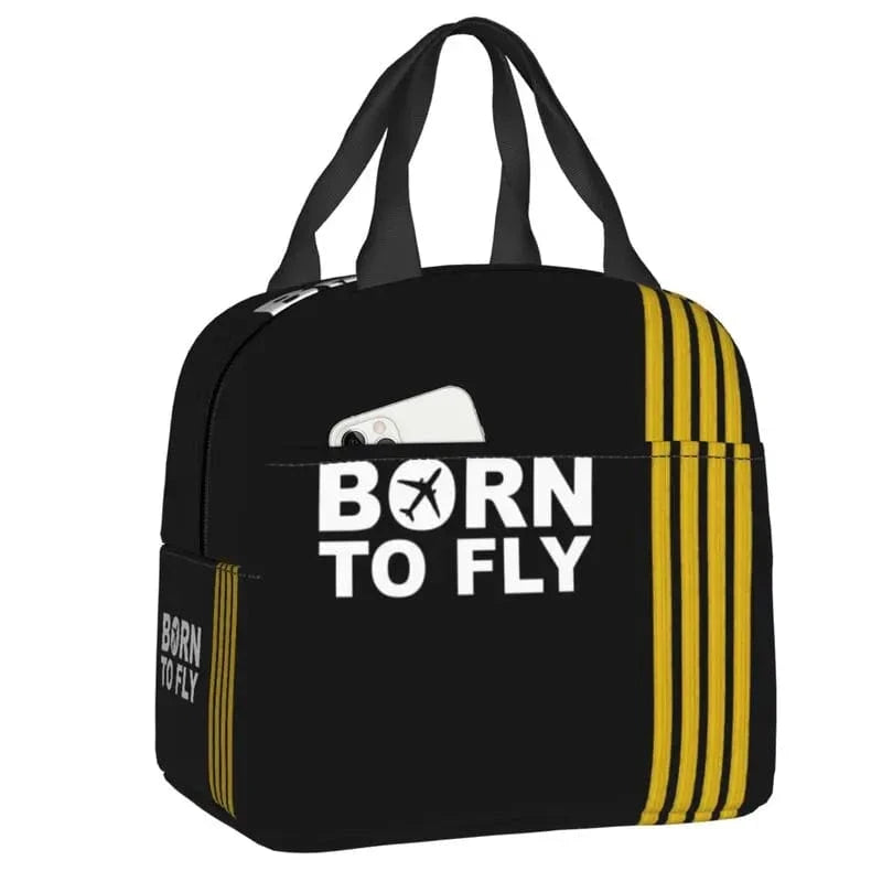 6 lunch box avionique