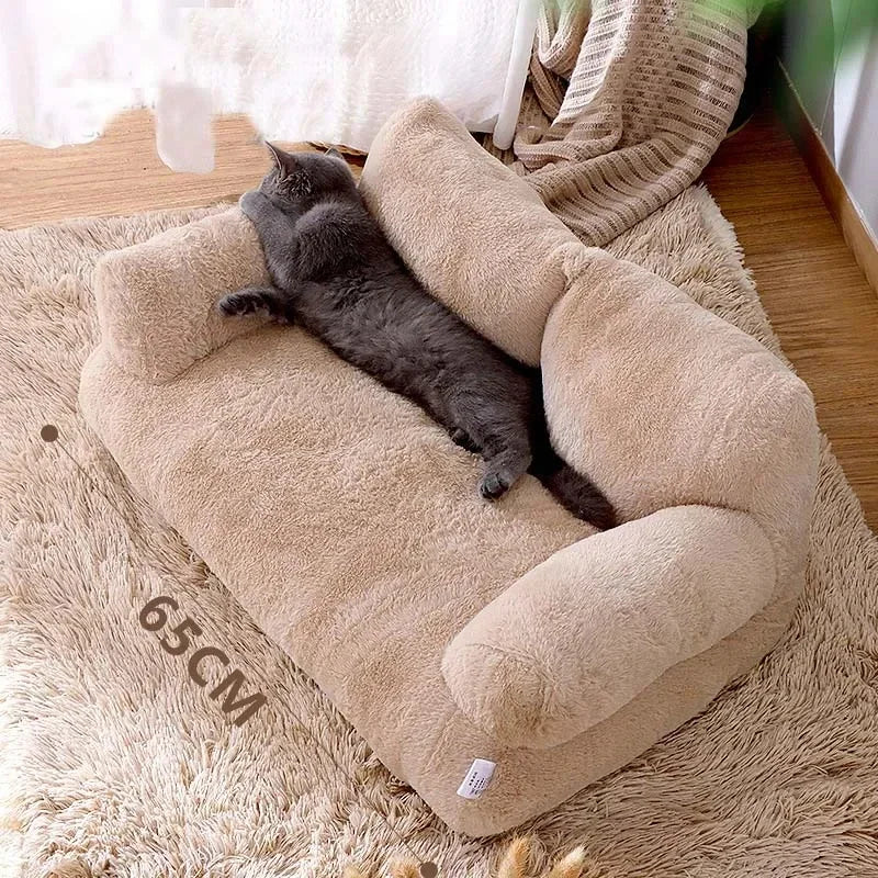 sofa pour chat