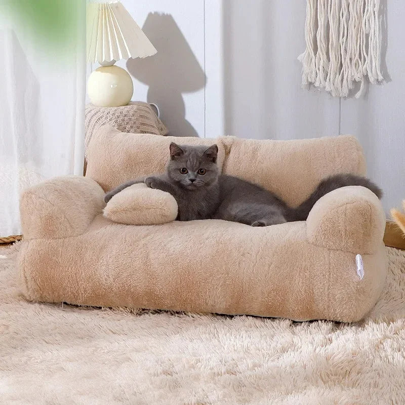 sofa pour chat