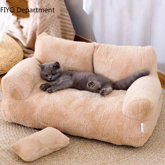 sofa pour chat