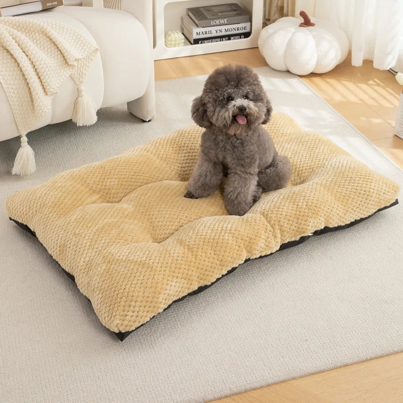 coussins pour chien