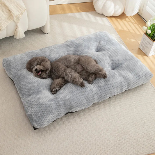 coussins pour chien