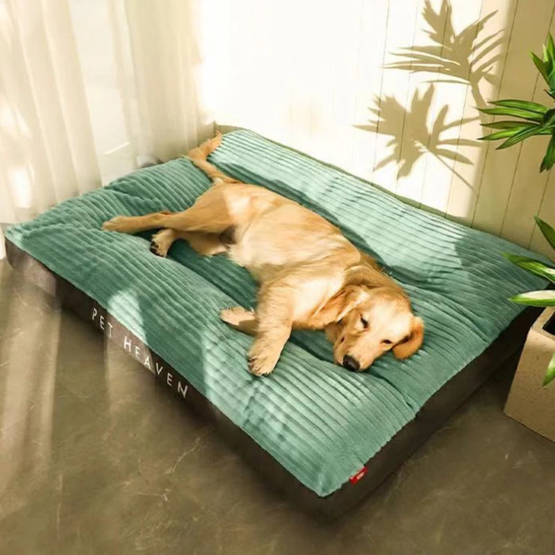 grand coussin pour chien