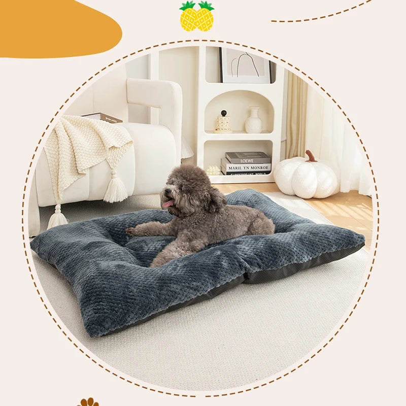 coussins pour chien