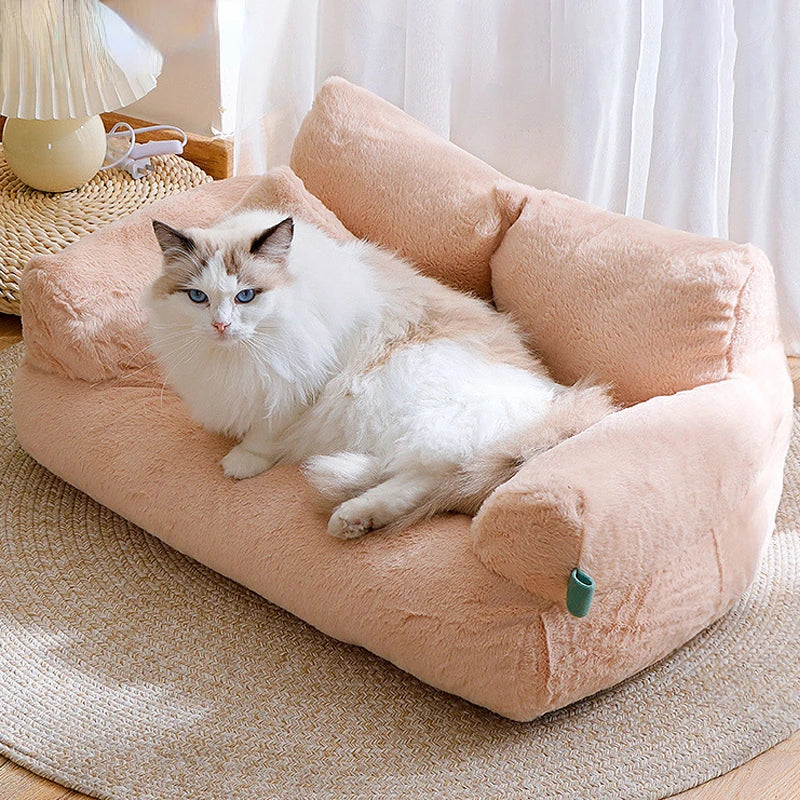 sofa pour chat