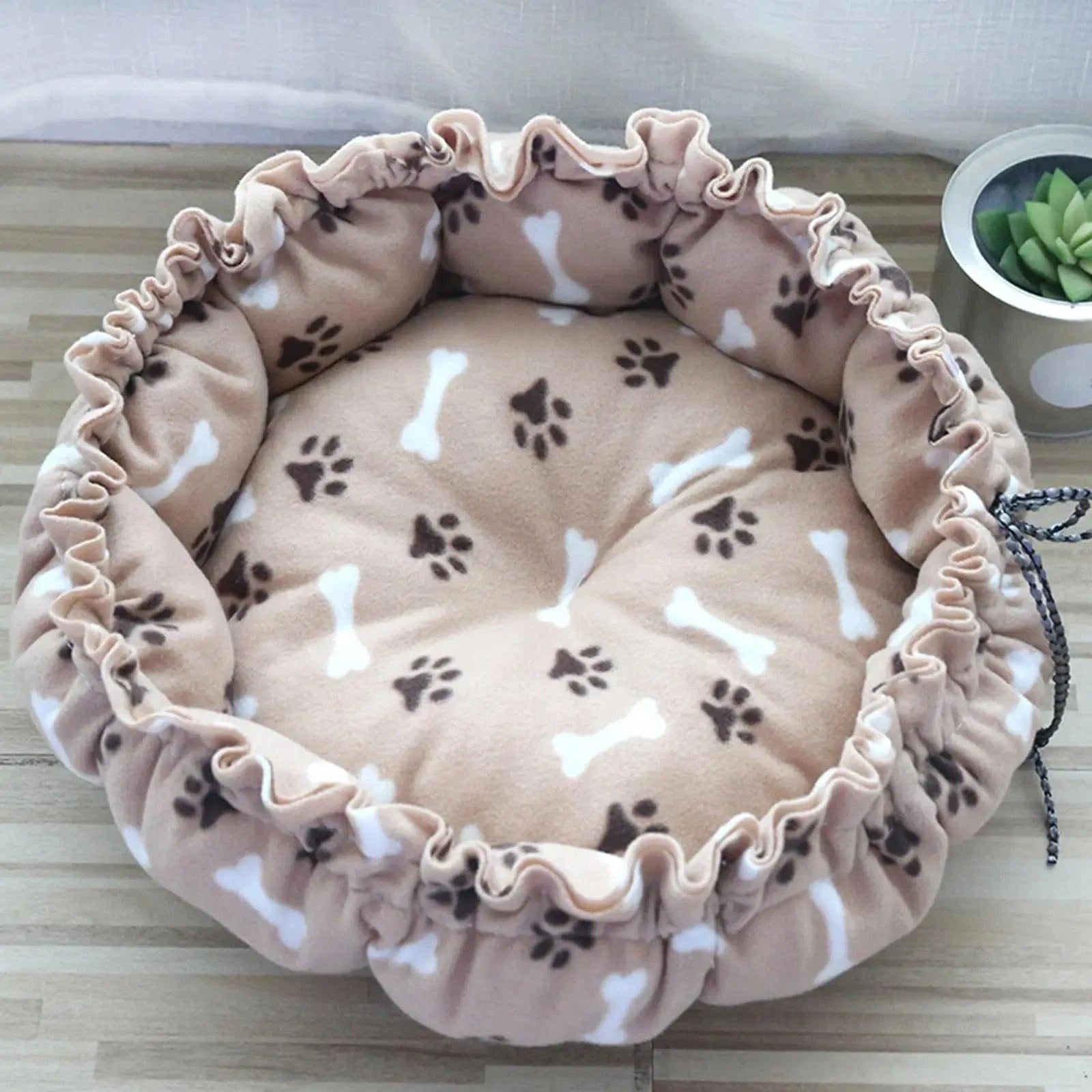 beige coussins pour chats