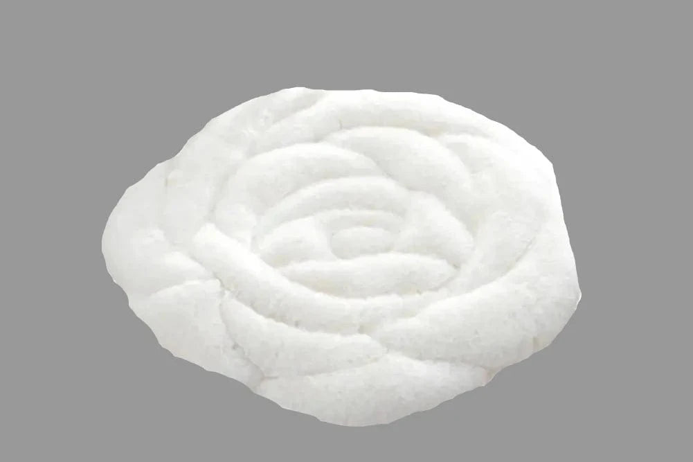 blanc coussins pour chaise