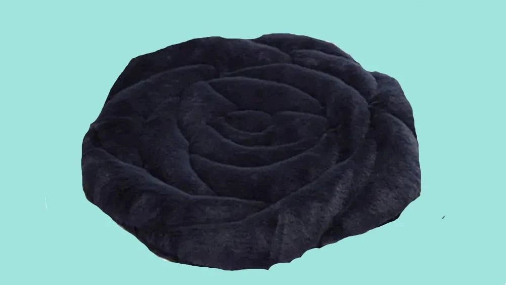 bleu coussins pour chaise