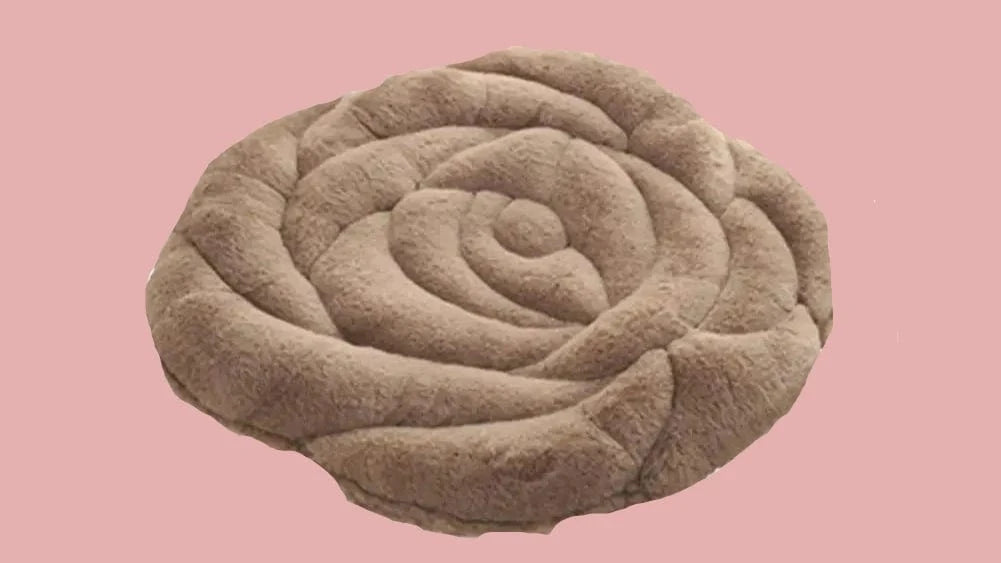 café coussins pour chaise