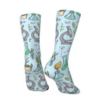 chaussettes science