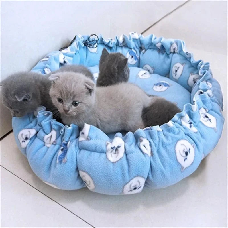 coussins pour chat