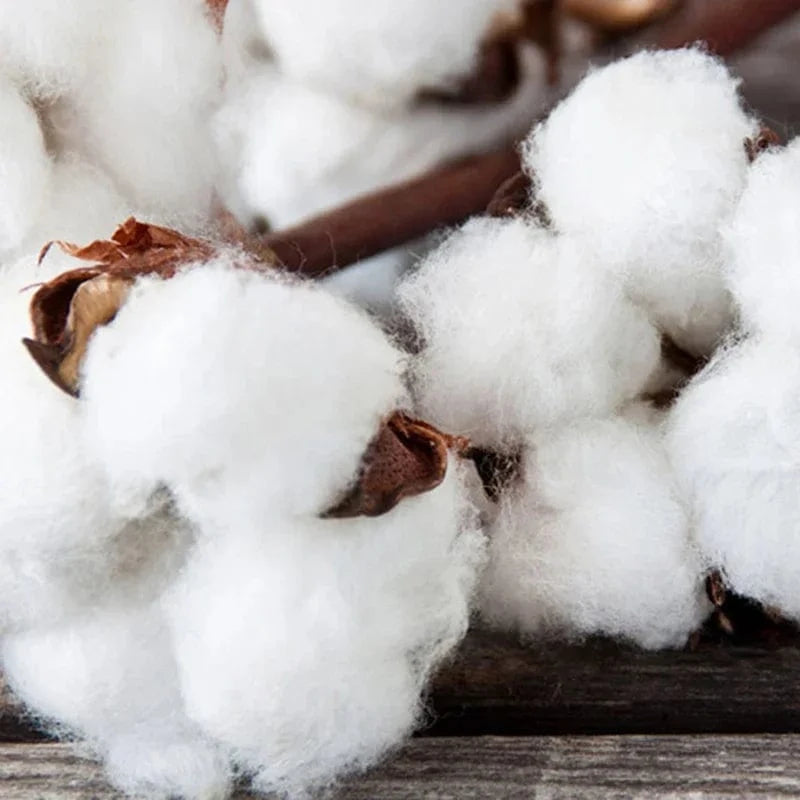 Drap housse 100% coton imprimé  150X200