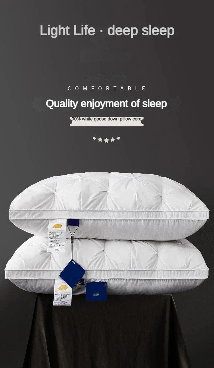 oreiller 95% duvet d'oie
