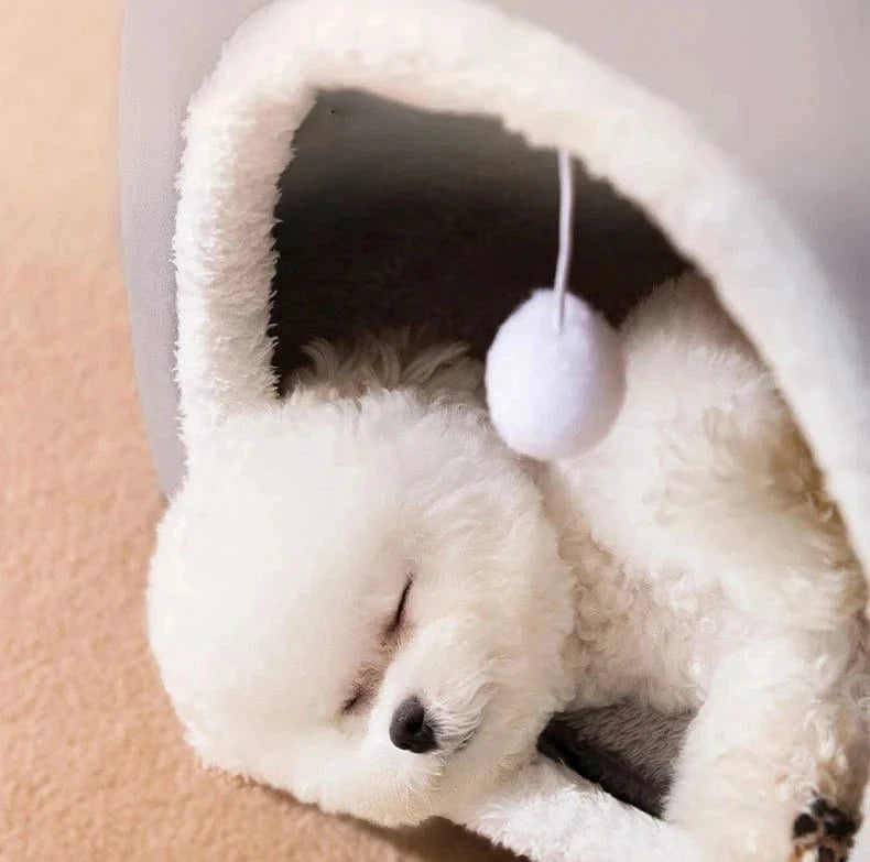 panier chaud pour chien