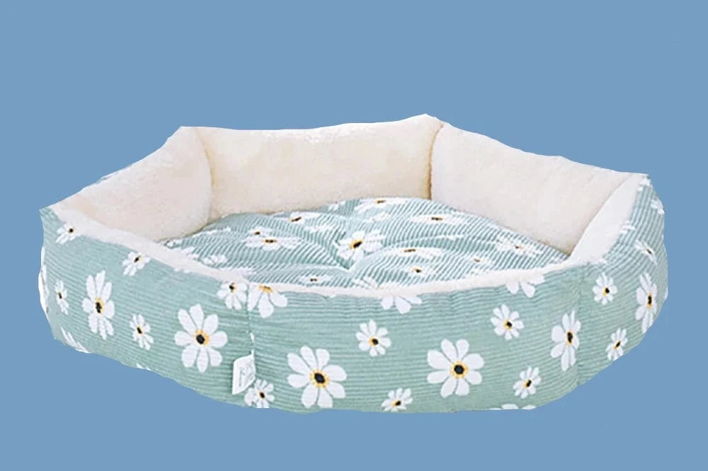 vert / S coussins pour chiens