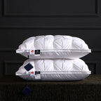 white 1pc / 48x74cm / China Mainland Oreiller 95% duvet d'oie